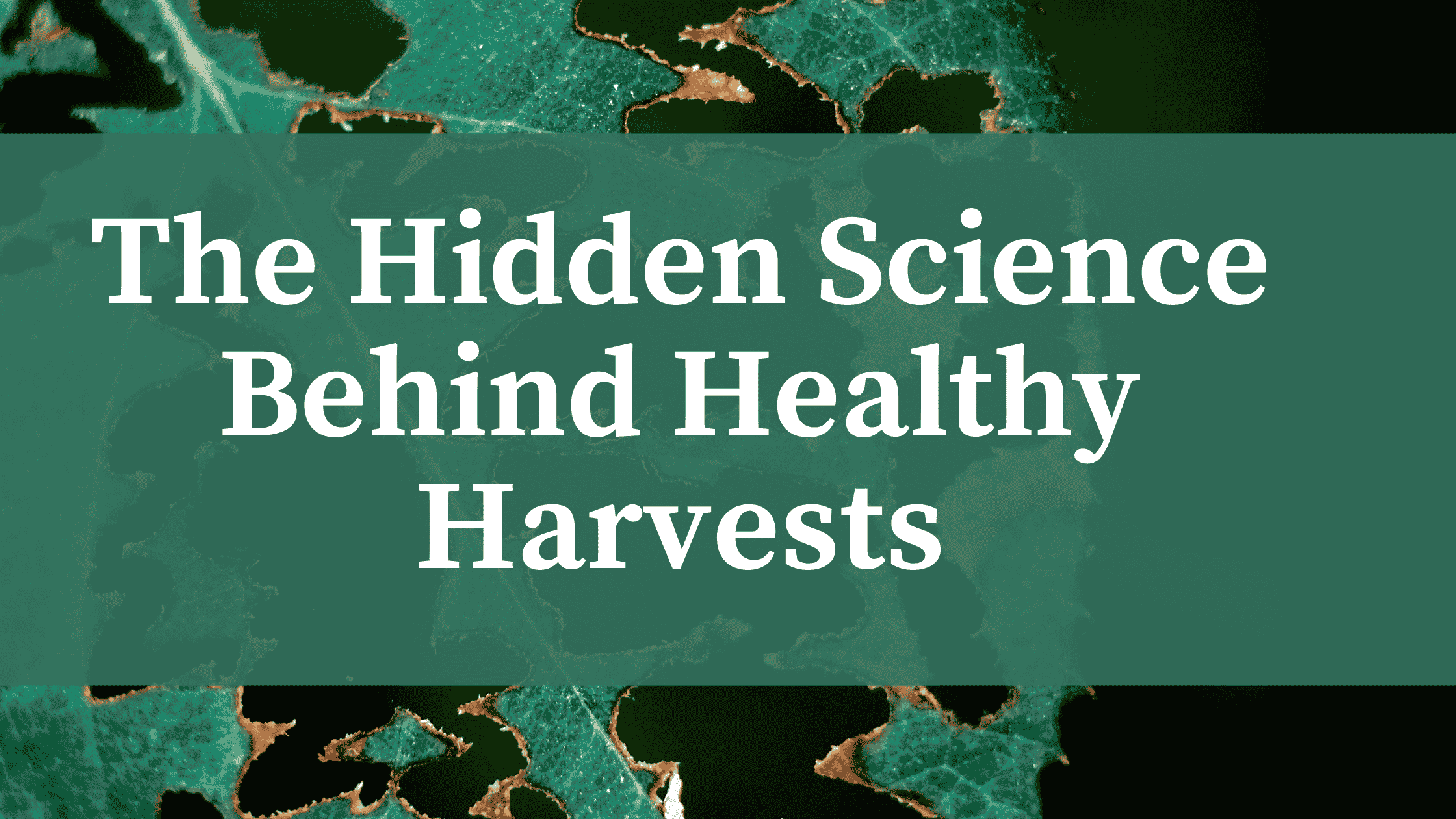 Inside the Molecular War: How Plants Fight Pathogens to Protect Our Food.