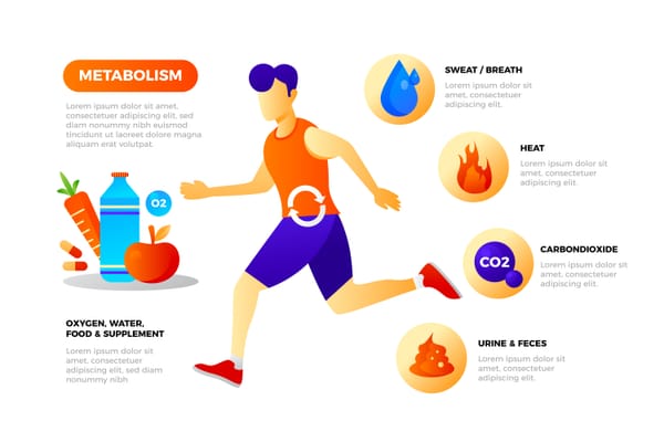 The Metabolic Cost of a Sedentary Lifestyle: From Desk to Bed