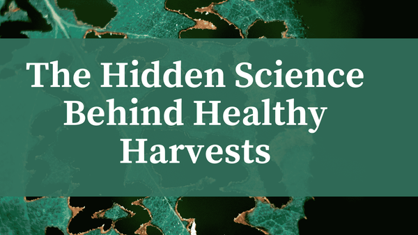 Inside the Molecular War: How Plants Fight Pathogens to Protect Our Food.